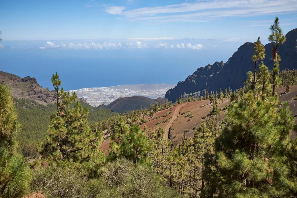 Las Canarias — landscape and travel photograph in Canary Islands, Spain, frame 1 of 28.